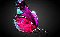 Batterfly Pink Low Polygon Art Insect