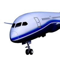 Boeing 787 DREAMLINER high detailed no name livery