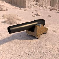 voruz gun