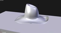 sample cowboy hat