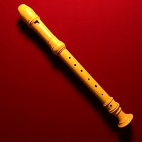 Recorder  - Flute