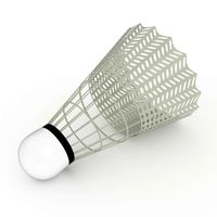 Shuttlecock