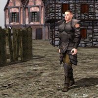 Leather Armor for M4