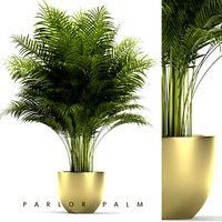 Plant 67