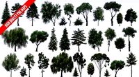 Textures4ever vol 8 - high resolution alpha trees in png forma