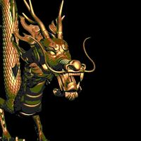 Dragon 012 3D Model