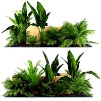flowerbed palm