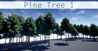 Pine Tree 1