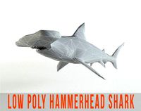 Hammerhead Shark Low Poly Predator Jaws Lowpoly
