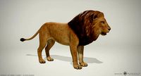 3D Lion and Lioness - Game Ready PBR