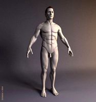 Human Male