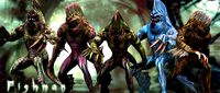 3DRT - Fishman
