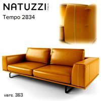 Natuzzi Tempo 2834 sofa