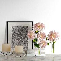 Williams Sonoma decoration set