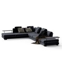 Cestone Sofa Set 2010 by FLEXFORM