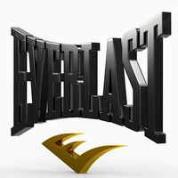 Everlast logo