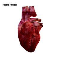 Human Heart