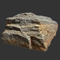 Bonnie Stone