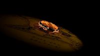 Ring of Doom