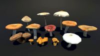 Forest Mushrooms Vol 2