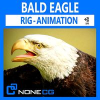 Bald Eagle v3 - Unity