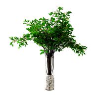 Green branches in glass vaze