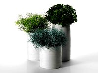 Bondi Pots with Plants