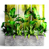Plants collection pot