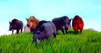 Poly Art Boars