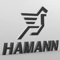 hamann logo 3