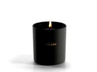 Walden Candle