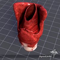 Throat Larynx