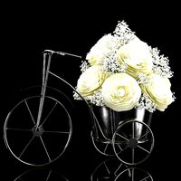 Ranunculus Arrangement