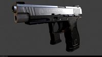 Taurus Pistol