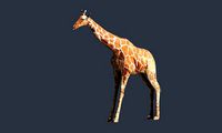 giraffe