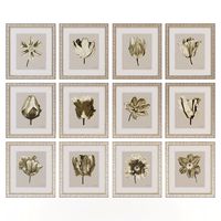 Charlotte Morgan Watercolour Tulips Sepia