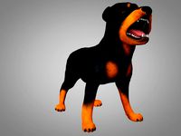 Dog Rottweiler
