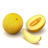 Galia melon