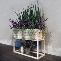 Terrace plants 2
