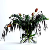 Tulips and Co