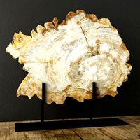 Petrified Wood On Stand