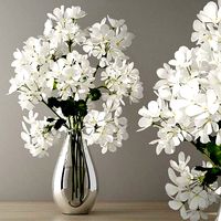 Geranium in vase