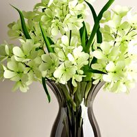 Geranium bouquet