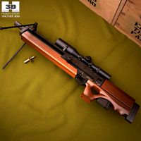 Walther WA 2000