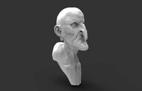 Old Man Bust