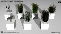 Low poly plants and grass