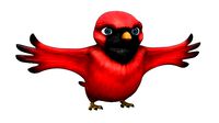 Cardinal Cartoon Bird