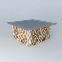 Coffee Table Rivage houses the world