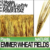 Emmer Wheat Fields Poser DAZ VFX Animation