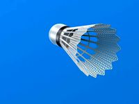 Shuttlecock